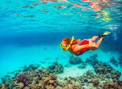 There are many activities that one can participate in like snorkeling, golf, tennis, the island tours, fishing, diving and other water sports There are many activities that one can participate in like snorkeling, golf, tennis, the island tours, fishing, diving and other water sports.